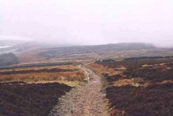 Nidderdale 3 Feb 01 (1).jpg (22598 bytes)