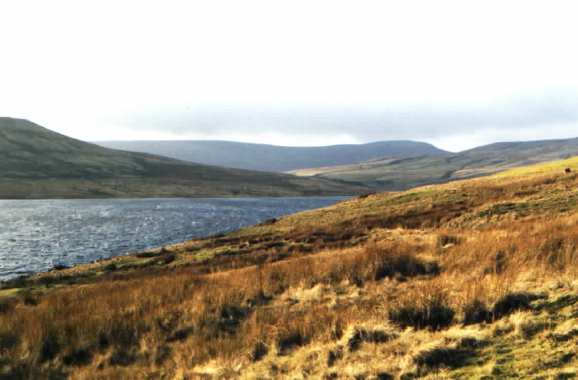 Scar_House.jpg (32738 bytes)